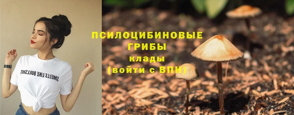 spice Заводоуковск