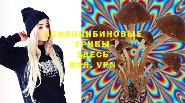 стафф Заволжск