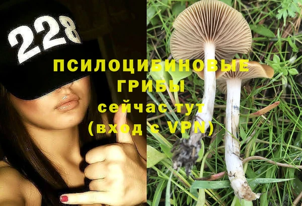 стафф Заволжск
