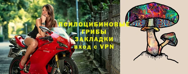 стафф Заволжск