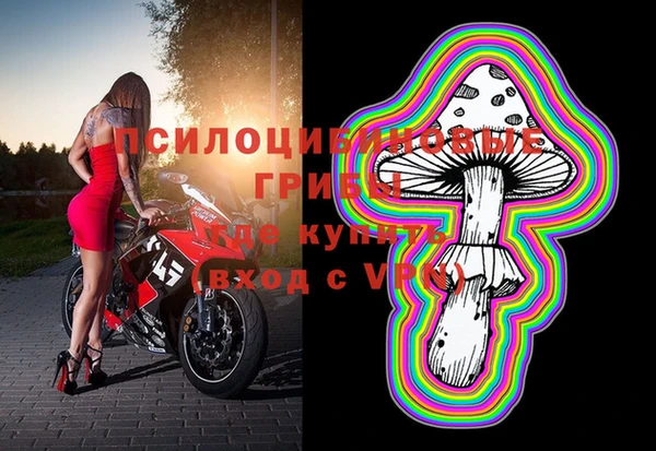 spice Заводоуковск