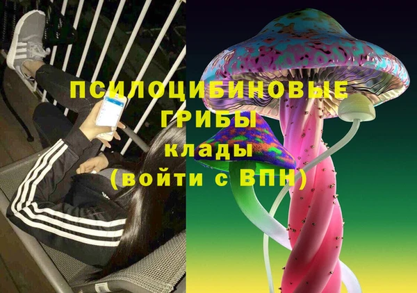 стафф Заволжск